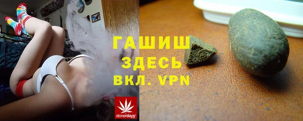 гашик Алексин