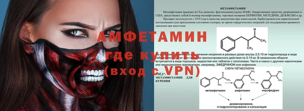гашик Алексин